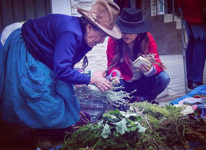 Pérou : on fait revivre les savoirs liés aux plantes médicinales