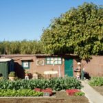 33315281296_997873bc31_o