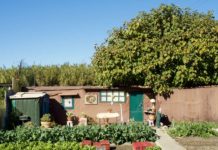 « L’écologie n’est pas qu’un problème de riches, elle peut participer à l’émancipation des populations les plus modestes »