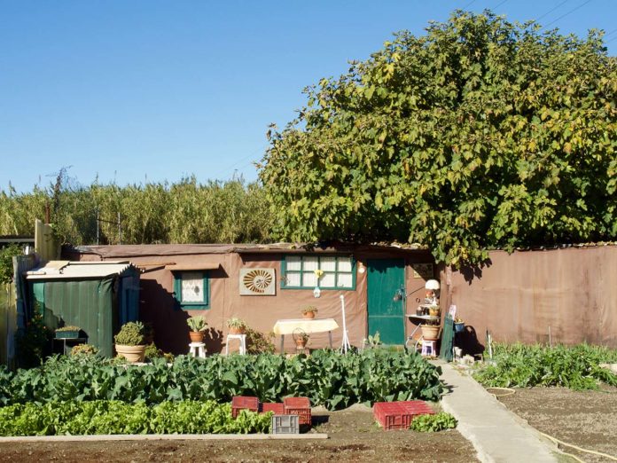 « L’écologie n’est pas qu’un problème de riches, elle peut participer à l’émancipation des populations les plus modestes »