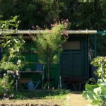 33356083555_46497c4f9a_o