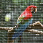 9635198018_0d9c1e81c4_o