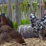 Capture-d’écran-(306)