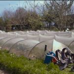 Capture-d’écran-(314)