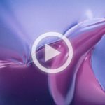 choc_sea_shepherd_video