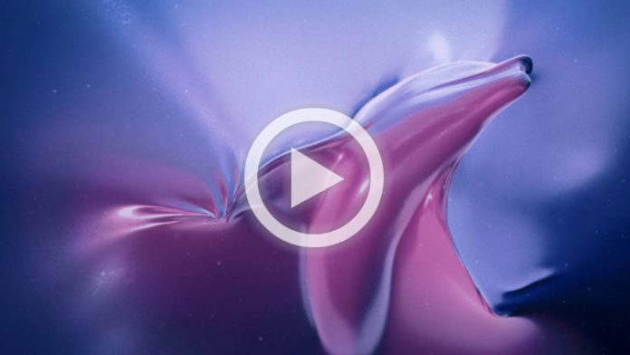 Choc visuel : Sea Shepherd expose la vie marine suffocante dans un océan de plastique