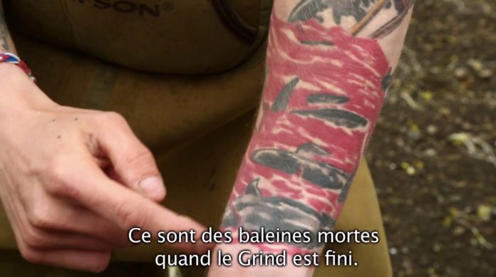 « En une seule chasse, je peux tuer entre une et trente baleines »