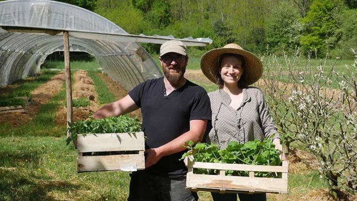 Ingénieurs à Paris, ils ont tout plaqué pour devenir paysans dans le Périgord