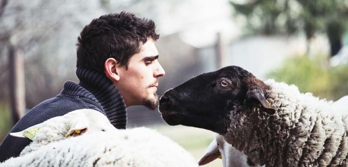 Ils fondent un havre de paix pour animaux d’élevage en Ardèche