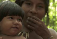 Ces communautés locales qui restaurent nos forêts