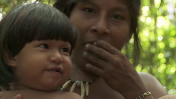 Ces communautés locales qui restaurent nos forêts
