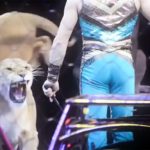 Capture-d’écran-(12)