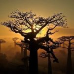 Capture-d’écran-(73)