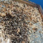 IMG-20180611-WA0031-(2)