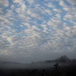 Photo-10-08-2015-12-45-50-(2)-(1)