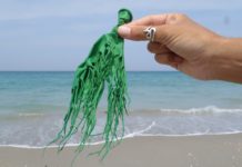 Ces plastiques biodégradables qui ne le sont PAS : le prochain grand scandale industriel