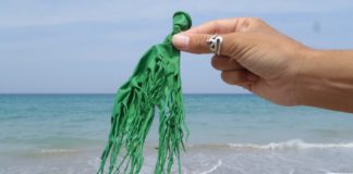 Ces plastiques biodégradables qui ne le sont PAS : le prochain grand scandale industriel