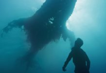 Ce clip musical splendide célèbre la beauté des océans menacés par le plastique