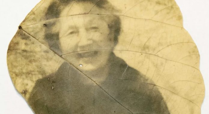 Mais que s’est-il passé dans l’actualité engagée ? (Vidéo)