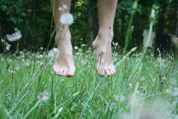 Fouler la Terre pour servir le collectif : l’utopie réelle racontée par deux trentenaires