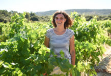 Hérault : les « Vignes de Cocagne » comme tremplin vers l’emploi