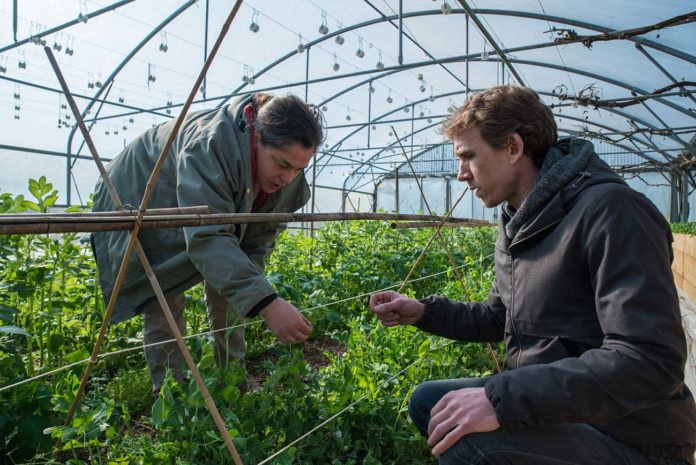 De Kokopelli à Monsanto : 40 interviews pour comprendre la « guerre des graines »