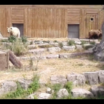 Capture d’écran 2018-08-17 à 14.13.45