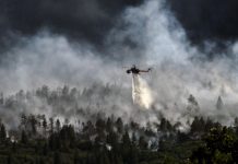 Incendies en Europe : Il n’y a pas de sommet sans feu…