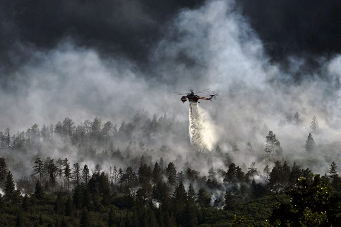 Incendies en Europe : Il n’y a pas de sommet sans feu…