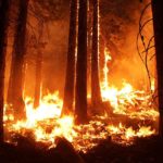 wildfire-1105209_1280
