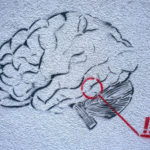 27122015-23639460149_1dbe0daa59_o