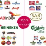 56d807bf428abd2b0c626c0c_infographie-multinationales-bière-article