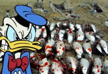 Chasse, CO2, Pesticides : l’Année de tous les Records – Démasque l’Info #9