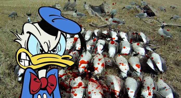 Chasse, CO2, Pesticides : l’Année de tous les Records – Démasque l’Info #9