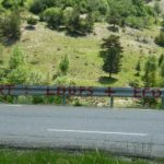 mort-loups+ecolos-ASPAS