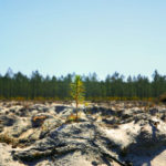 13102018-Capture d’écran 2018-10-13 à 12.16.45