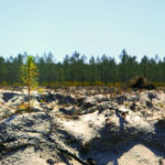13102018-Capture d’écran 2018-10-13 à 14.54.15