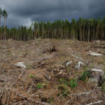 36230566253_3d50e899eb_k