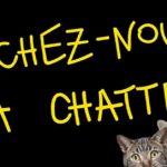 chatte