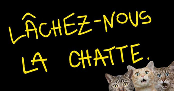 « Lâchez-nous la chatte » : 21 dessins pour tacler le marketing de l’hygiène féminine !