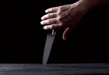 « Déjà dans nos assiettes » : la vidéo de cuisine qui ne fera pas le Buzz…