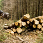 PHOTO REPERAGE TOURNAGE (6)