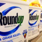 15060187572_9339d820a7_o