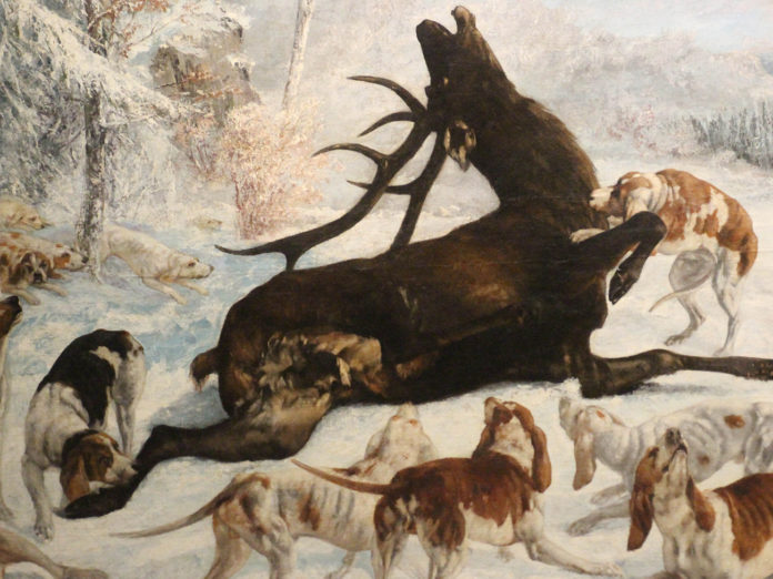 Chasse à courre : une ancienne veneuse « repentie » témoigne