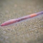 5846867449_7f8c7d76d6_o