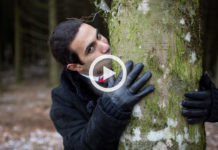 Pourquoi la déforestation est une bonne chose ? Explication en vidéo !