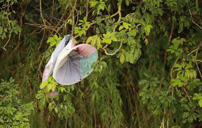 Lâcher de lanternes à Taïwan : de la magie au drame écologique