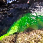 05032019-Capture d’écran 2019-03-05 à 15.52.54