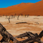 34a. Namibie désert