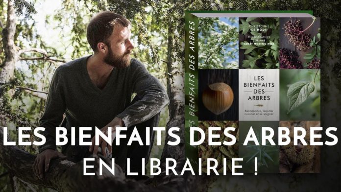 « Les bienfaits des arbres » : un livre pour redécouvrir les forêts de nos contrées